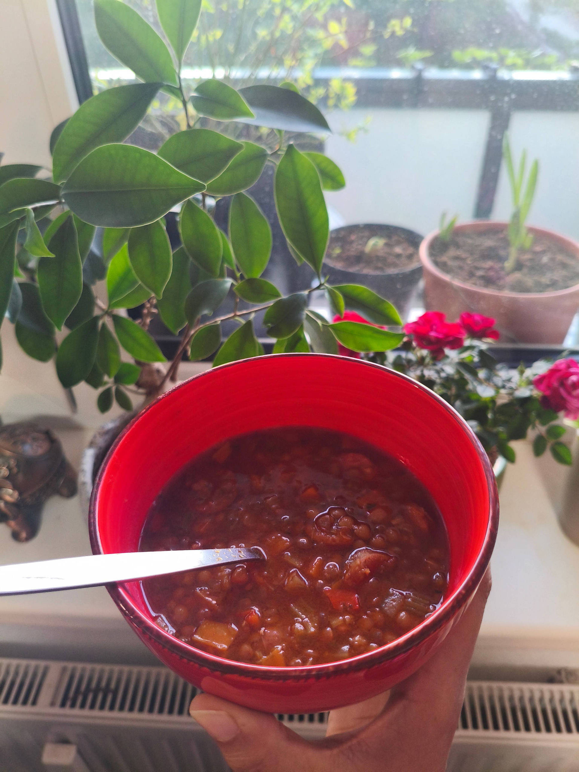Lentejas con chorizo — West African-Spanish lentil stew in a large pot, garnished with fresh parsley